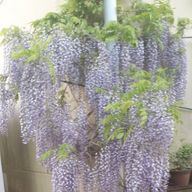 こうさんのアイコン画像