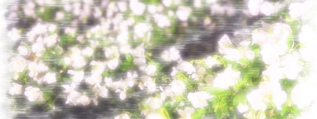 『R』さんの壁紙画像