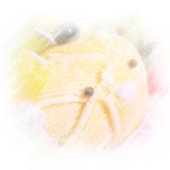 『R』さんのアイコン画像