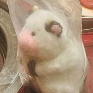 しゅてさんのアイコン画像