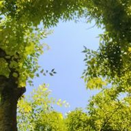 そらさんのアイコン画像