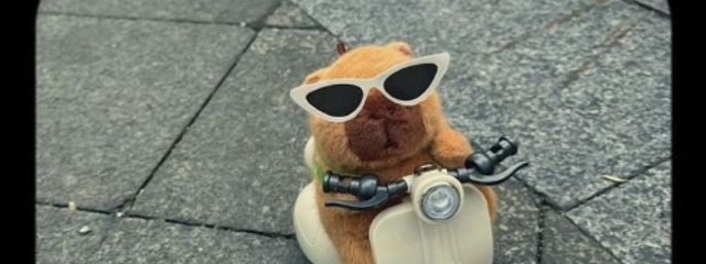 しあんさんの壁紙画像