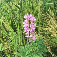 TAKUMAさんのアイコン画像