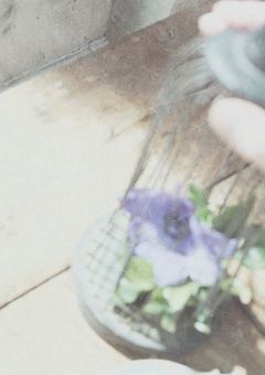🔭 秘密報告所