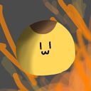 主（白透）
