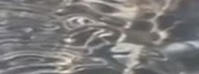 ゆあさんの壁紙画像