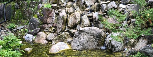 yuki٭❅さんの壁紙画像