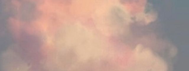 Hana    鯖かるぼなーらと包帯ロールケーキ　さんの壁紙画像