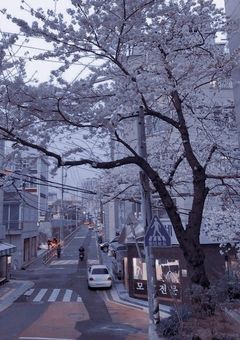 雑