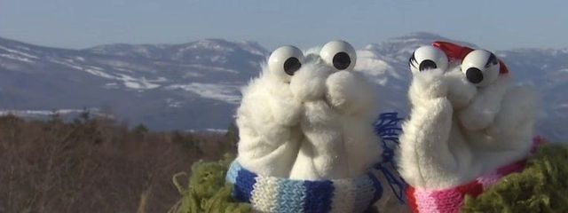    シ ロ く ま   𓂃⟡.·    さんの壁紙画像