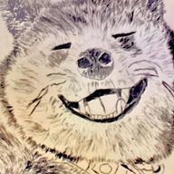 しばしばおさんのアイコン画像