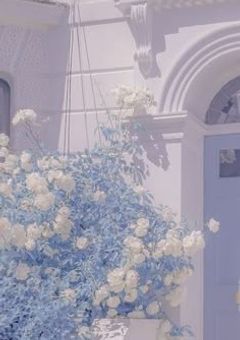 　　𝒕𝒂𝒍𝒌 𝒓𝒐𝒐𝒎 ⋆𐙚 ̊.