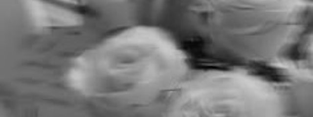 𝓜𝓞𝓜𝓞        さんの壁紙画像