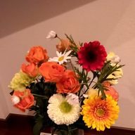 SnowMan、NiziU推しさんのアイコン画像