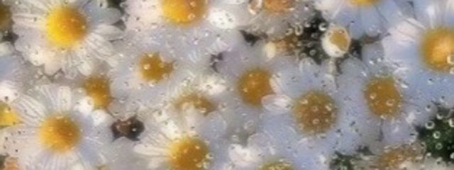 T&Kさんの壁紙画像