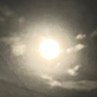 T&Kさんのアイコン画像