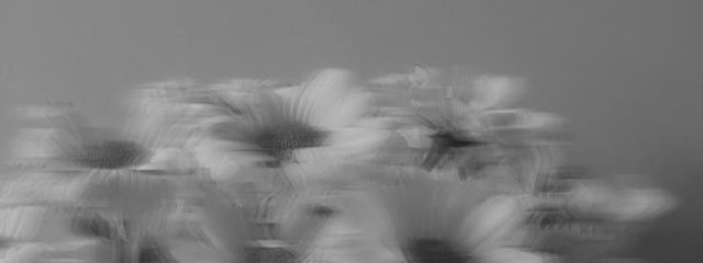 瀬川　さんの壁紙画像