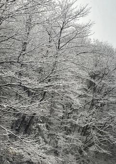 雑談メインの推し活部屋?✨✨✨🥳🥳