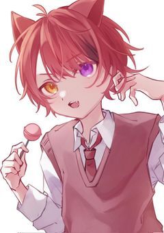 嘘告とわかってても…