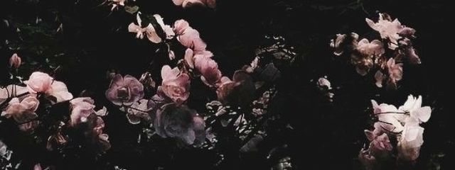 羽琥./@🌀📢⚠️さんの壁紙画像