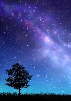煌夜の輝、星屑の幻夢#1
