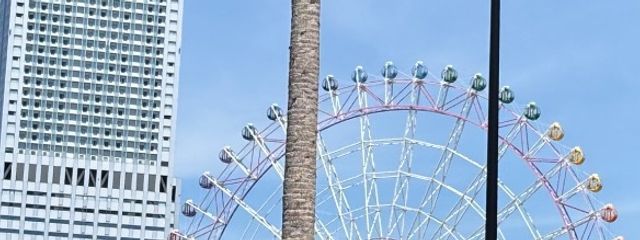 柊　麗　@   サブ垢さんの壁紙画像