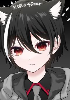 狼の少年による配信部屋