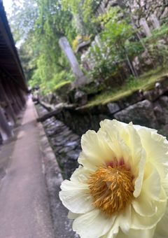 なりきり…したいナァ？