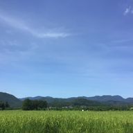 青りんごさんのアイコン画像