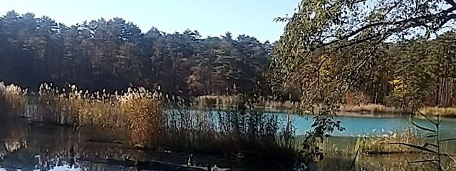 彼方 響(かなた ひびき)さんの壁紙画像