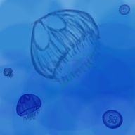 海月/ウミネコ同盟　さんのアイコン画像