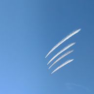 Y.Aさんのアイコン画像