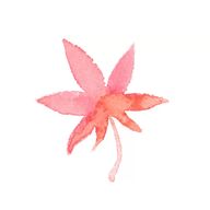 廿月さんのアイコン画像