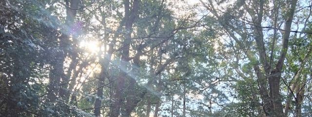 まくら　腐女子☆さんの壁紙画像