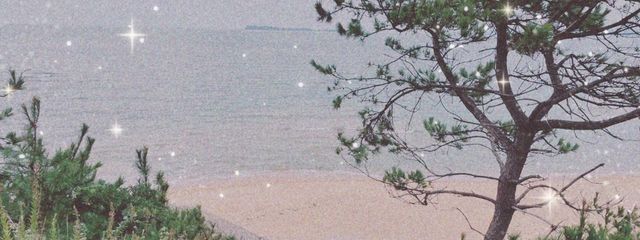 永結さんの壁紙画像