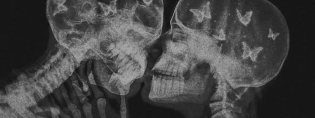 ๐ใดใใฟใ๐ฅใใใฎๅฃ็ด็ปๅ