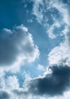 Cheating Cat (浮気猫)