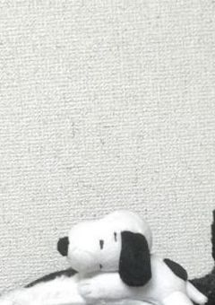   ~     학교    ~