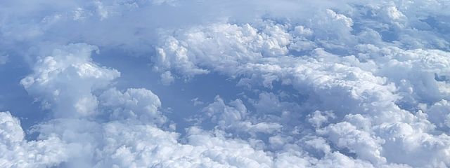 ジャポニカ🌾さんの壁紙画像