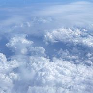 ジャポニカ🌾さんのアイコン画像