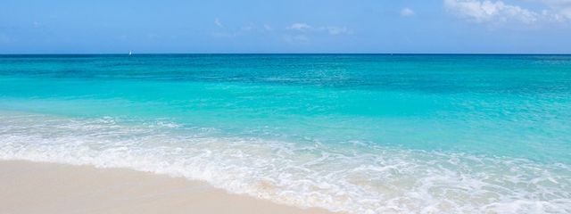 くらげさんの壁紙画像