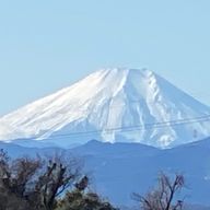 葩月hadukiさんのアイコン画像