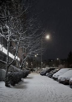 雪夜の出会い