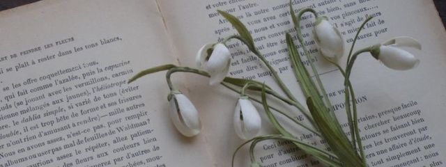 夜さんの壁紙画像