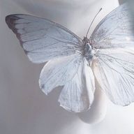 夜さんのアイコン画像