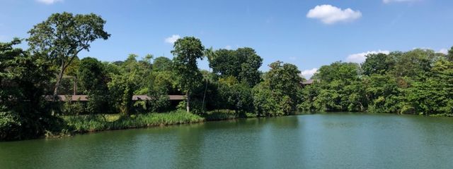 wtnbakさんの壁紙画像