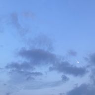 ぬーんさんのアイコン画像