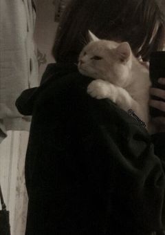 ㅤㅤ今宵のメインは舞台裏 。