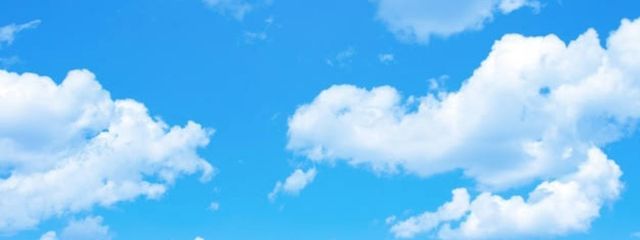 ティアラさんの壁紙画像