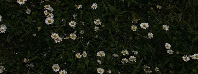 아야가さんの壁紙画像